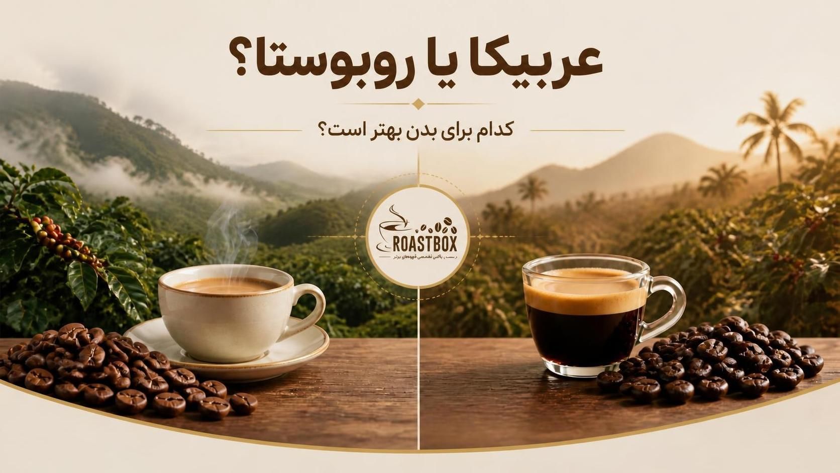 عربیکا یا روبوستا؛ کدام برای بدن بهتر است؟